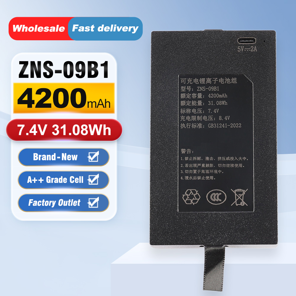 ZNS-09B1 4200mAh C+C- P-P+ Ers – Home Security Battery Replacement Bewertung und Preis